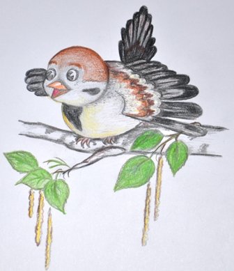 Воробушек рисунок