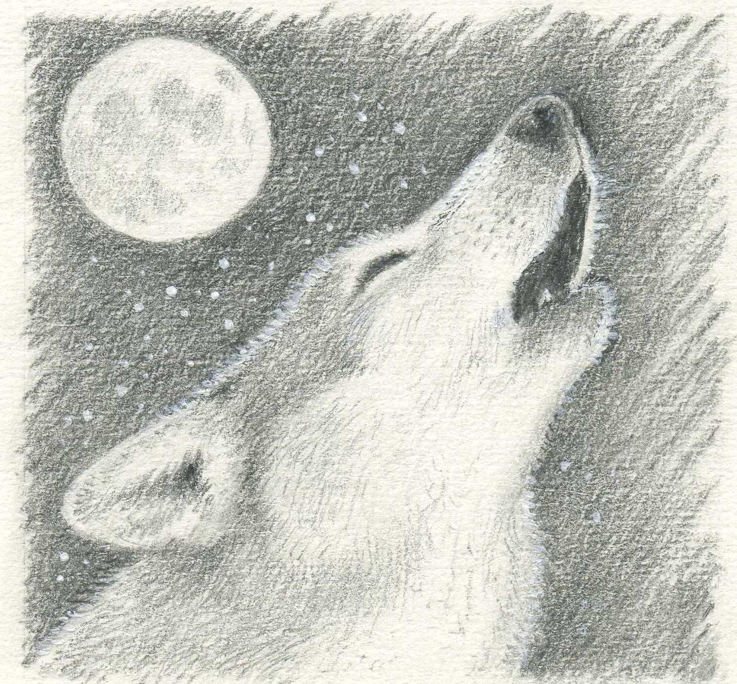 Волк и Луна карандашом