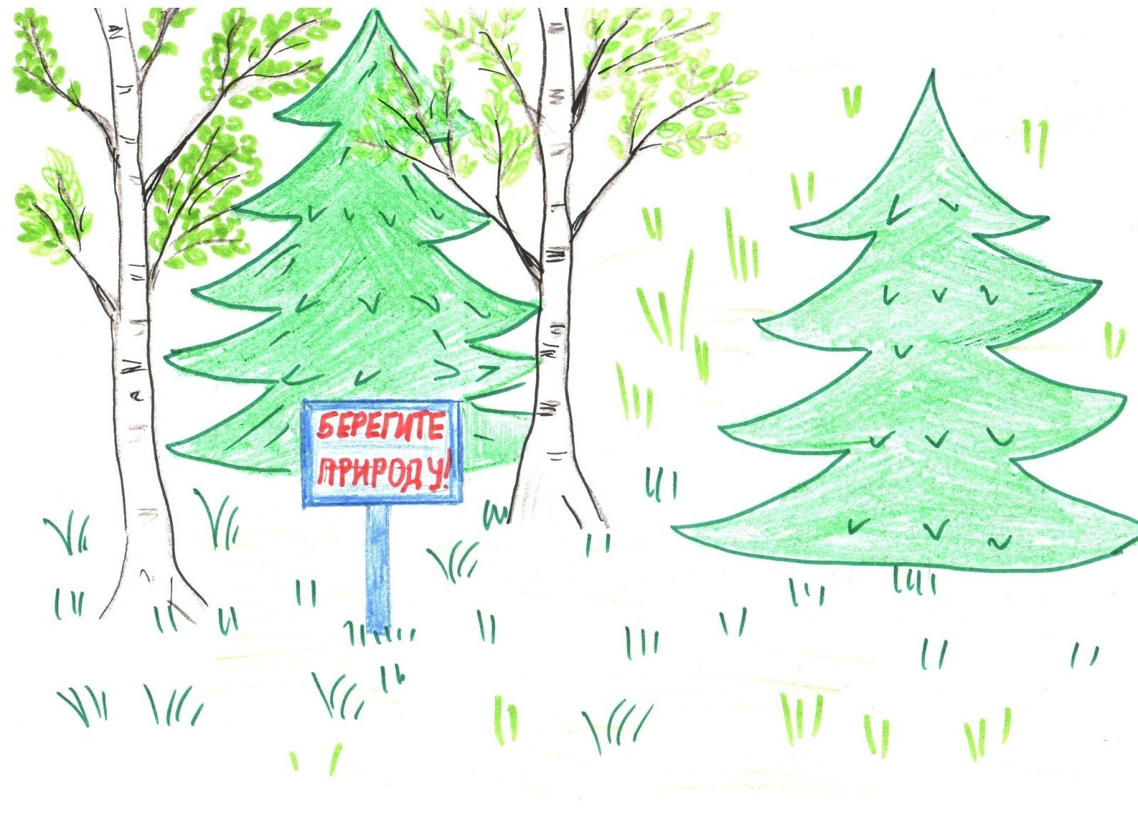 Легкие рисунки на тему лес