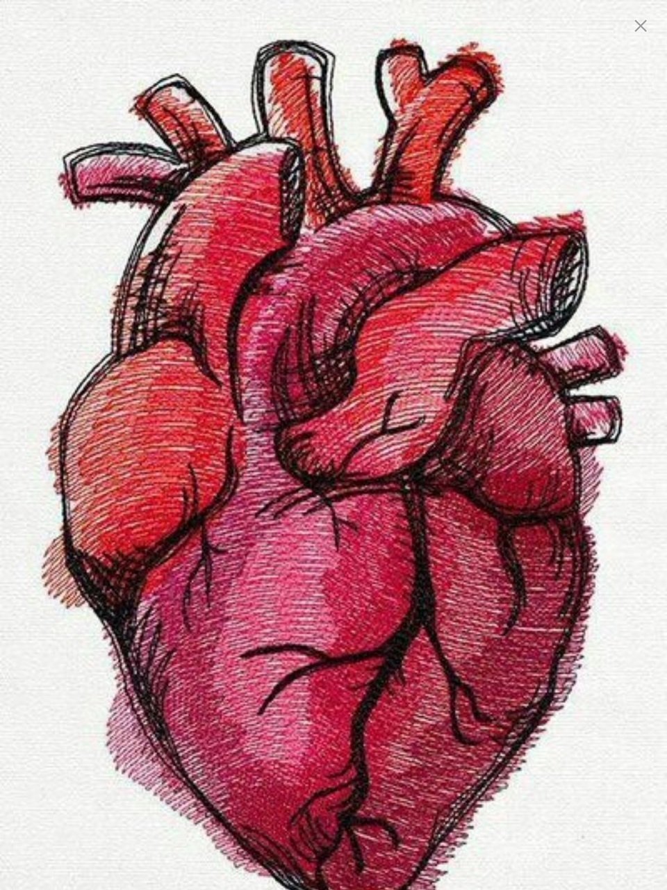 Сердце нарисовать человеческое