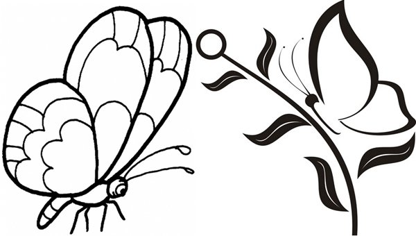 Бабочка на ветке