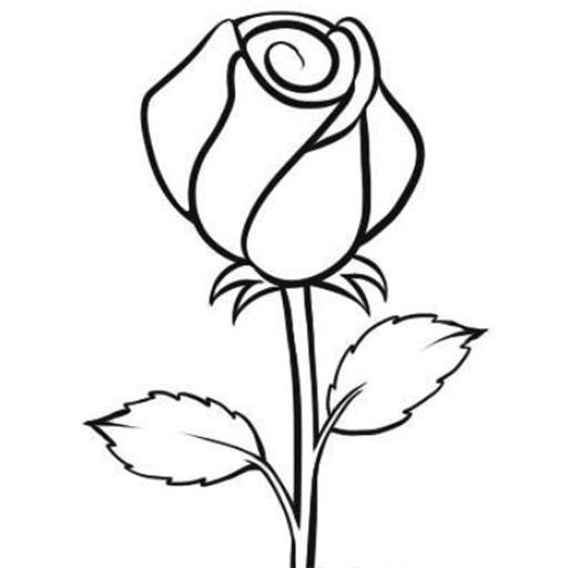 Цветы. Раскраска