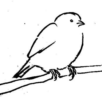 Пошаговый рисунок воробья