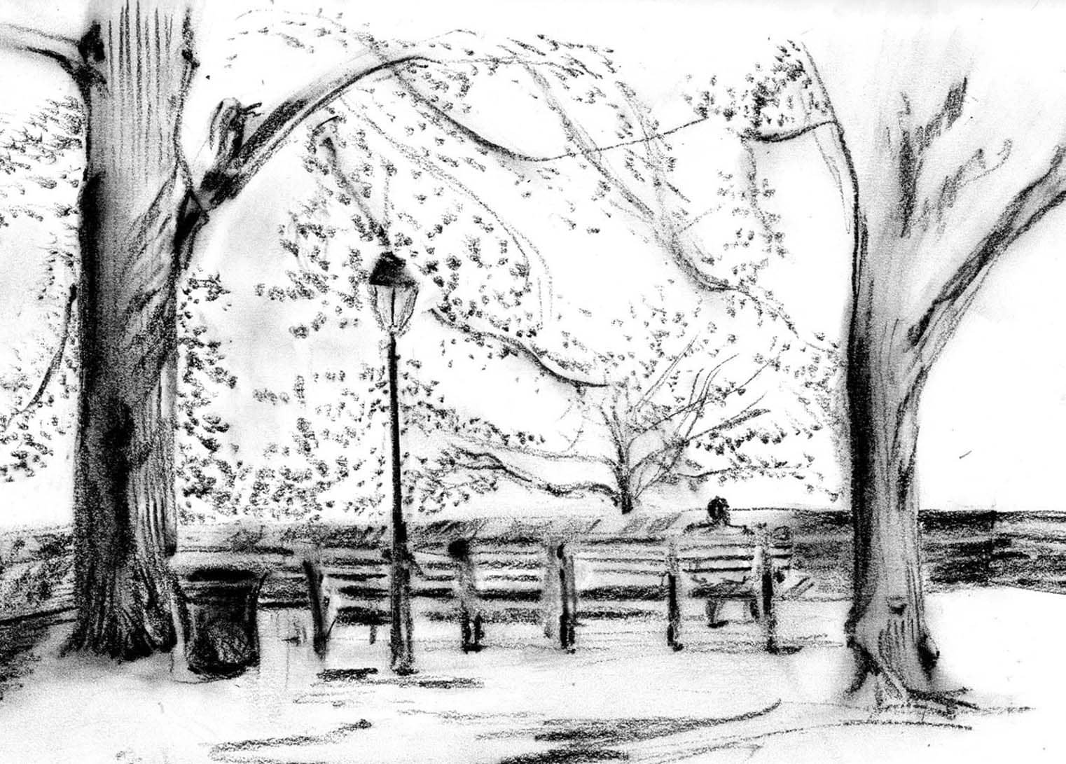 Рисунок парка