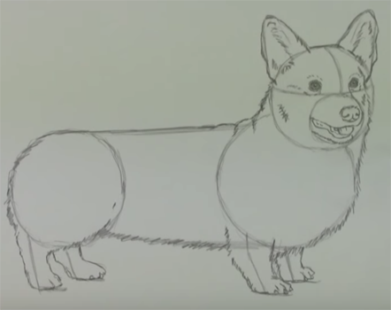 Поэтапное рисование собаки корги
