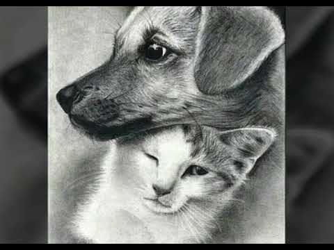 Милые животные карандашом