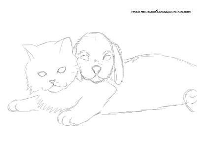 Рисовать кошку и собаку