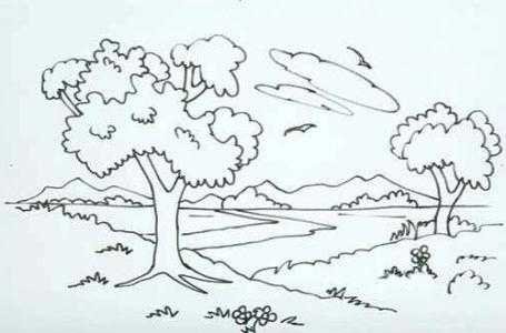 Рисунок осень карандашом для срисовки