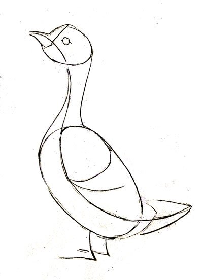 Гусь рисунок карандашом простой (49 фото)