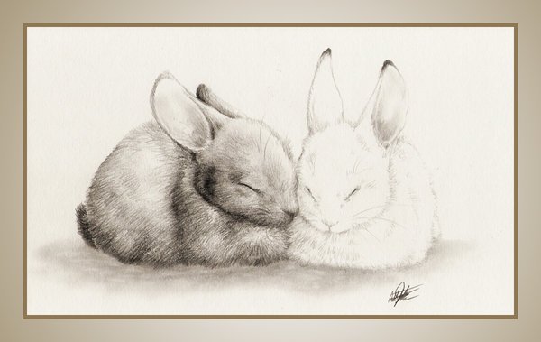 Зайчик рисунок карандашом