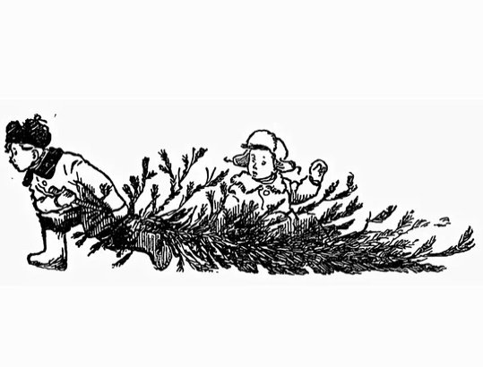 Бенгальские огни рассказ Носова