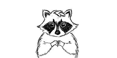 Лёгкие рисунки енота для срисовки