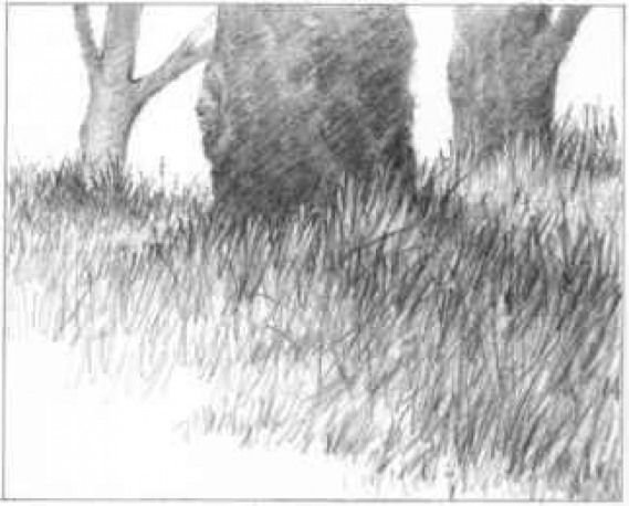 Трава просыжтым карандашом