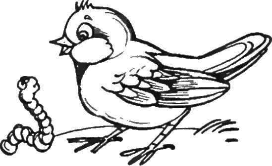 Взъерошенный Воробей рисунок