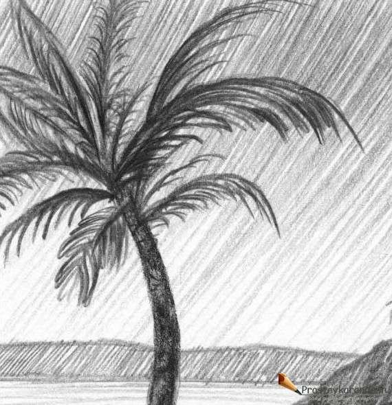 Пальма рисунок карандашом