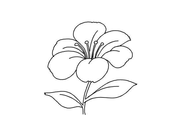 Цветик-семицветик раскраска шаблоны