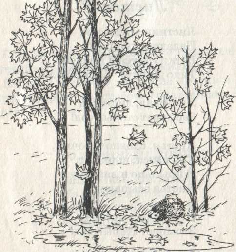 Рисунок на тему Золотая осень