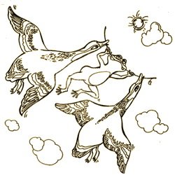 Гаршин лягушка путешественница раскраска