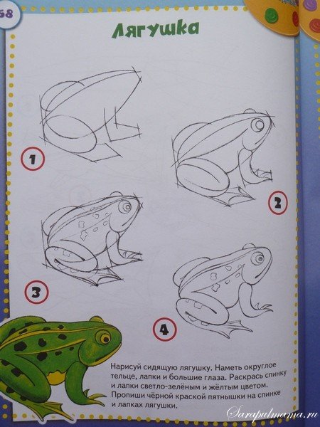 Как рисовать лягушку