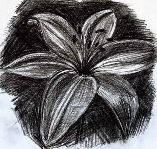 Рисунок углем легкий