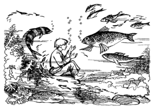 Подводный мир поэтапное рисование карандашом