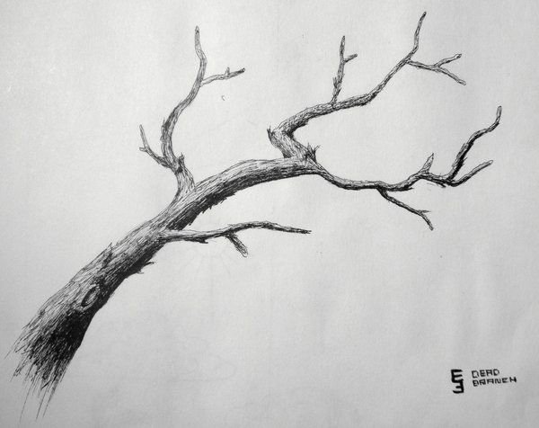 Альфред баша