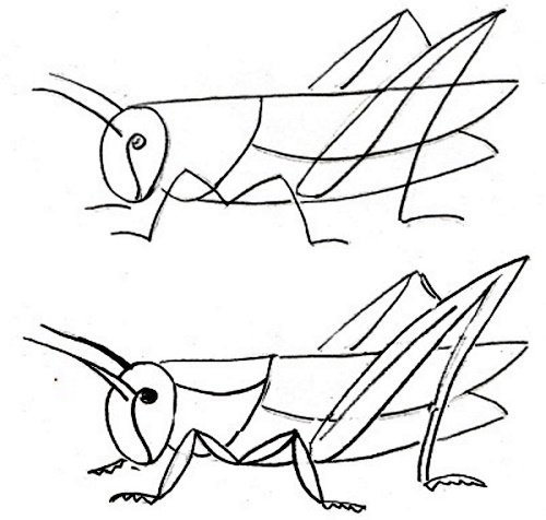 Кузнечик рисунок