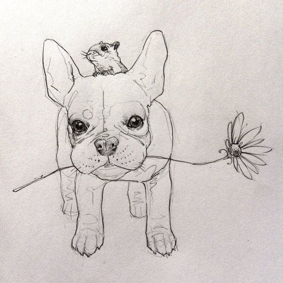 Французский бульдог рисовать легко