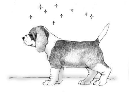 Рисунок собаки Бигль легкий