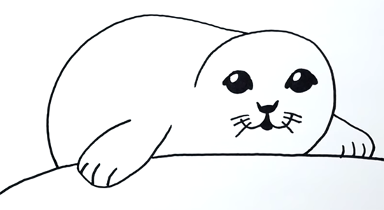 Морской котик карандашом