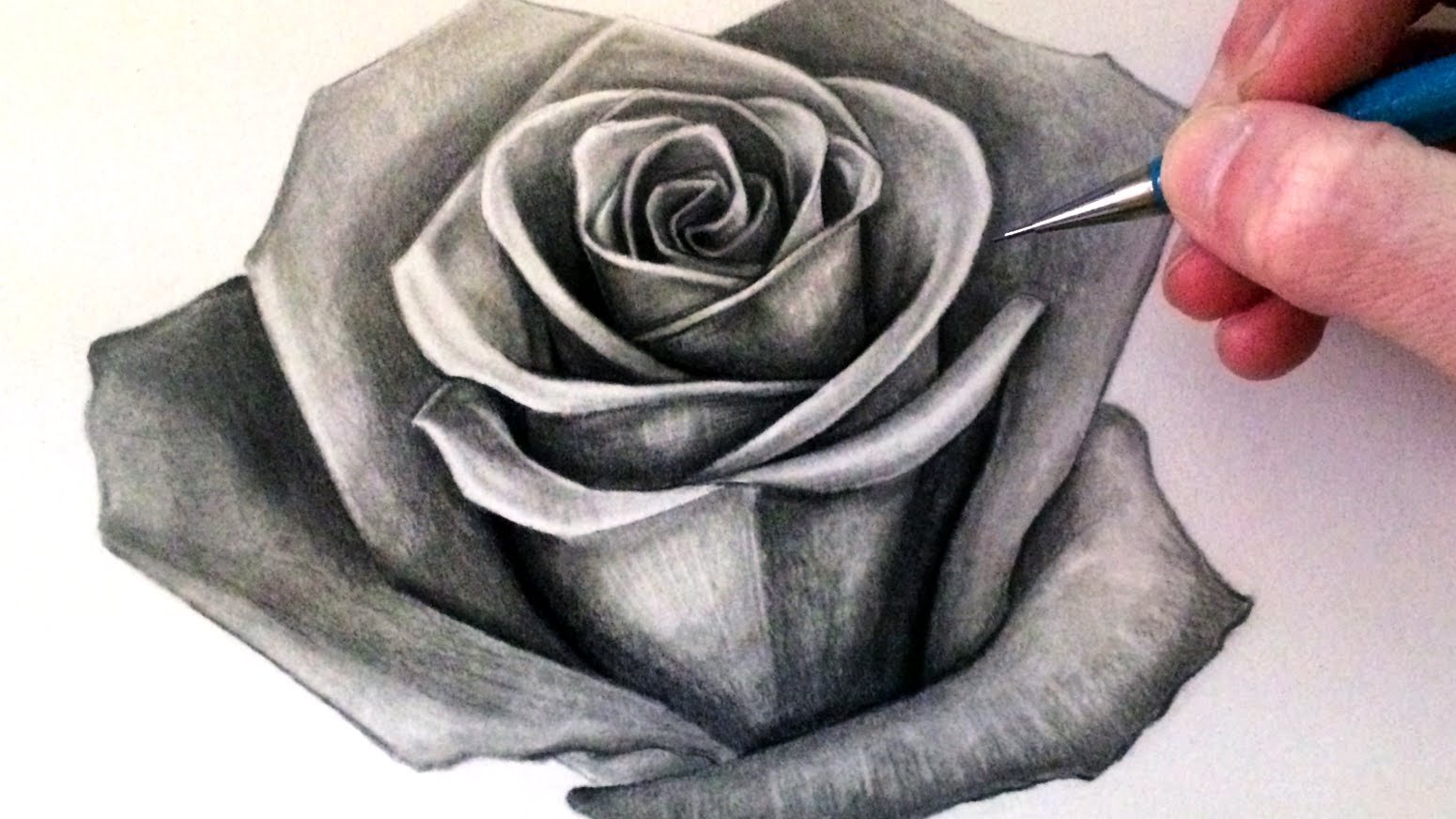 Красивая роза карандашом
