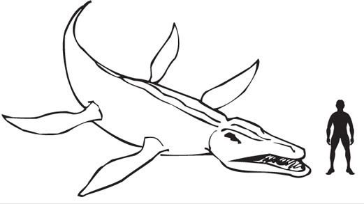 Мозазавр для срисовки