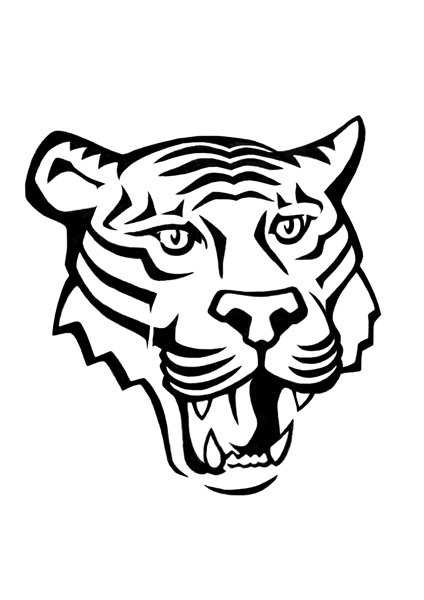 Тигр рисунок карандашом для срисовки