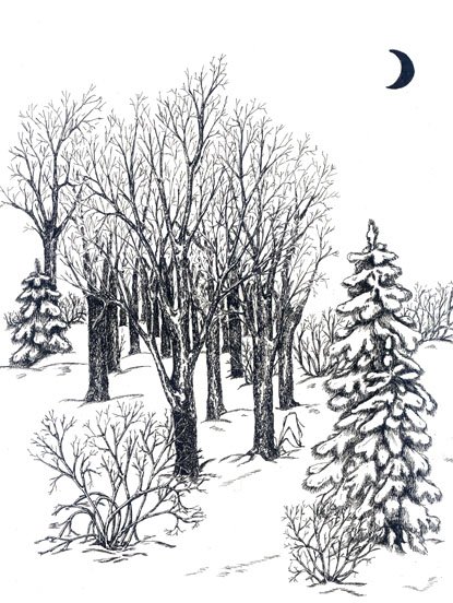 Зимний пейзаж карандашом легко