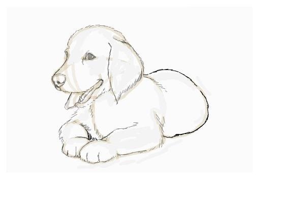 Собака Муму рисунок