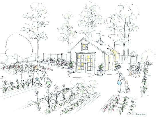 Эскиз огорода