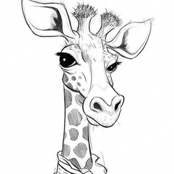 Животные карандашом