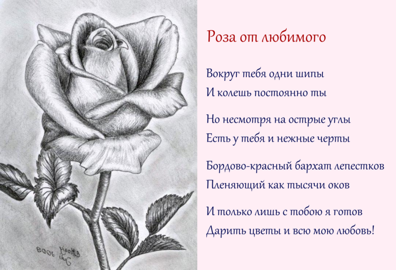 Стих вы любите розы текст
