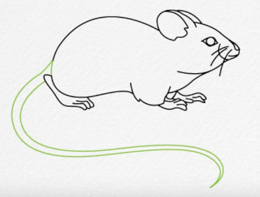 Нарисованная крыса легкая