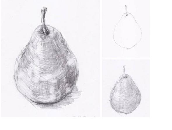 Груша рисунок карандашом простым (47 фото)