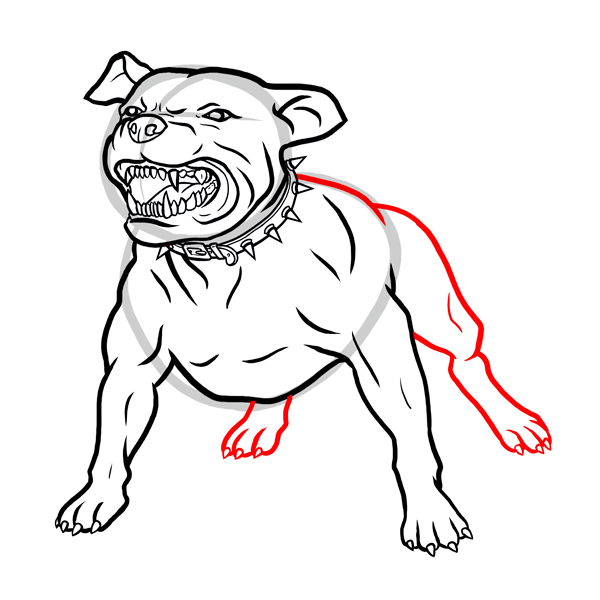 Рисунок питбуля