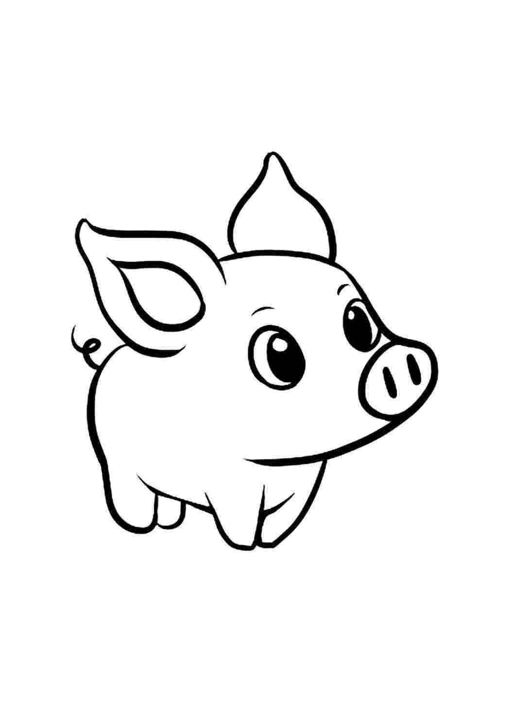 Рисунок свинки поэтапно