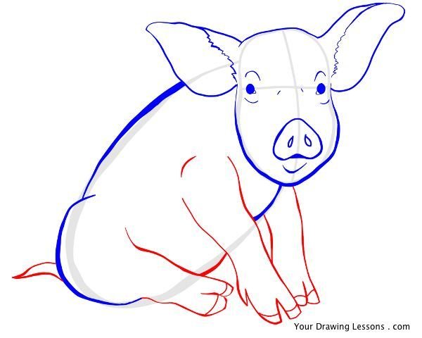 Зарисовки животных