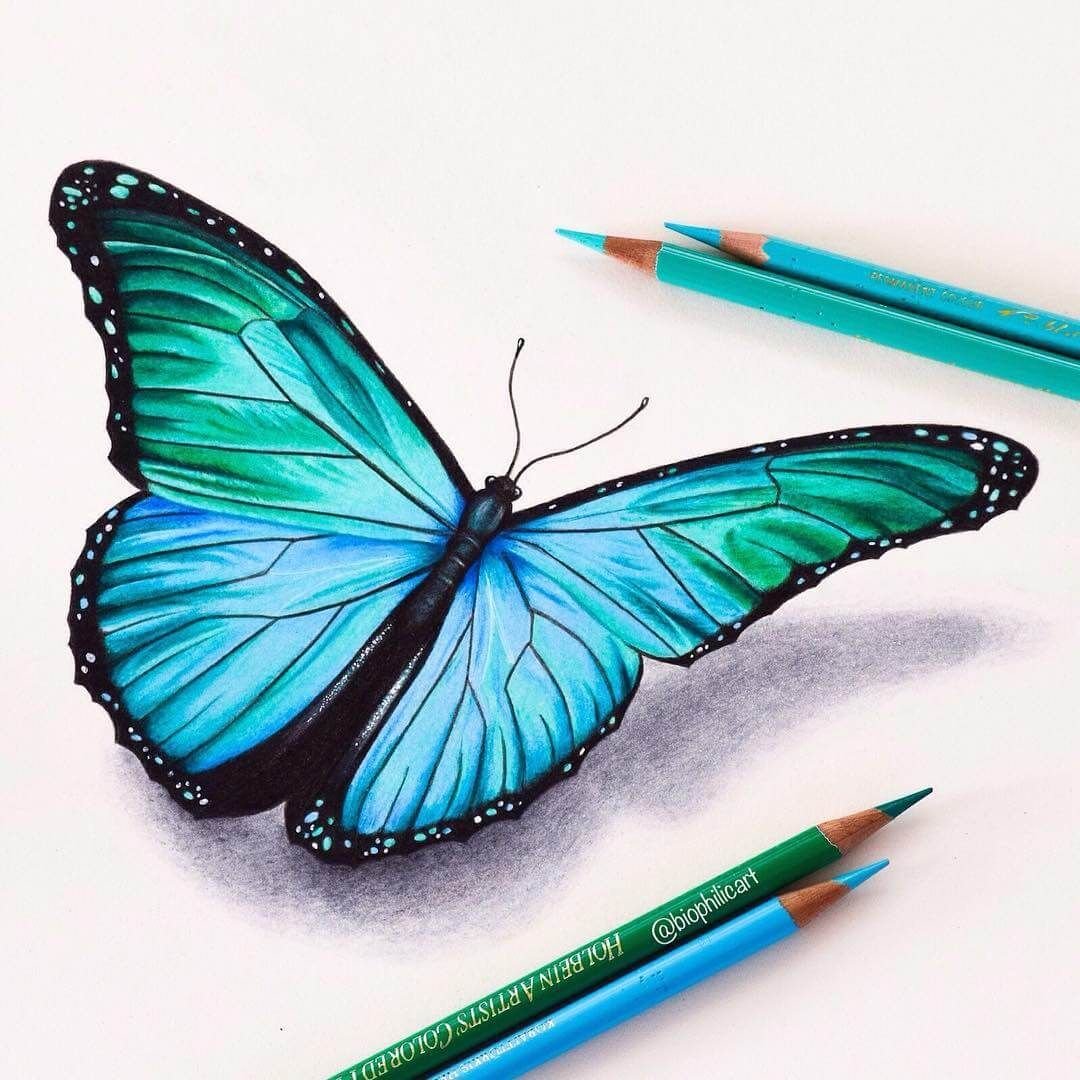 Бабочка акварельными карандашами