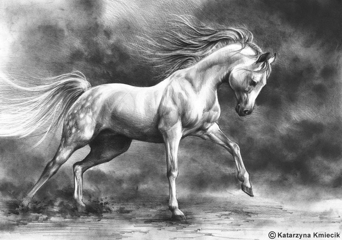 Картины лошадей карандашом