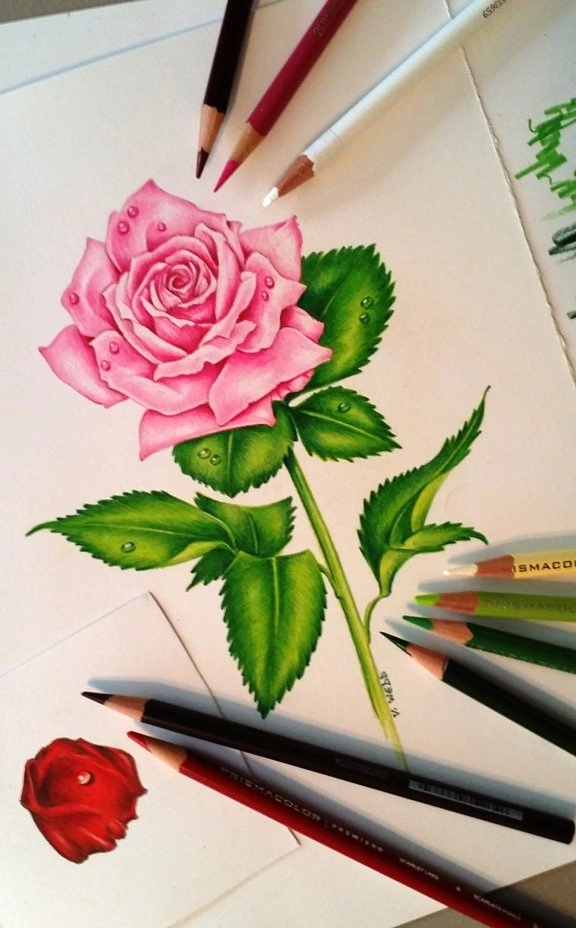 Сделать рисунок в цвете. Цветы цветными карандашами. Рисунки цветными карандашами. Красивые цветы карандашом. Живопись цветными карандашами.