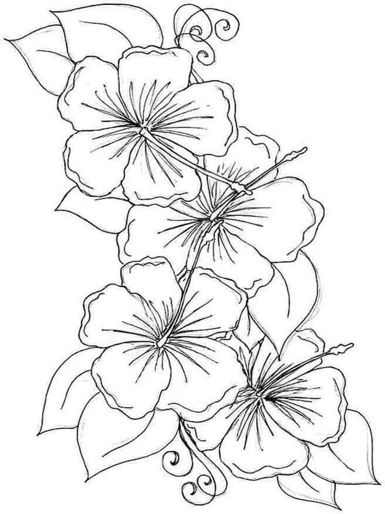 Нарисовать цветок на ватмане - 81 фото