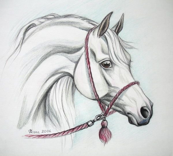 Лошадь рисунок