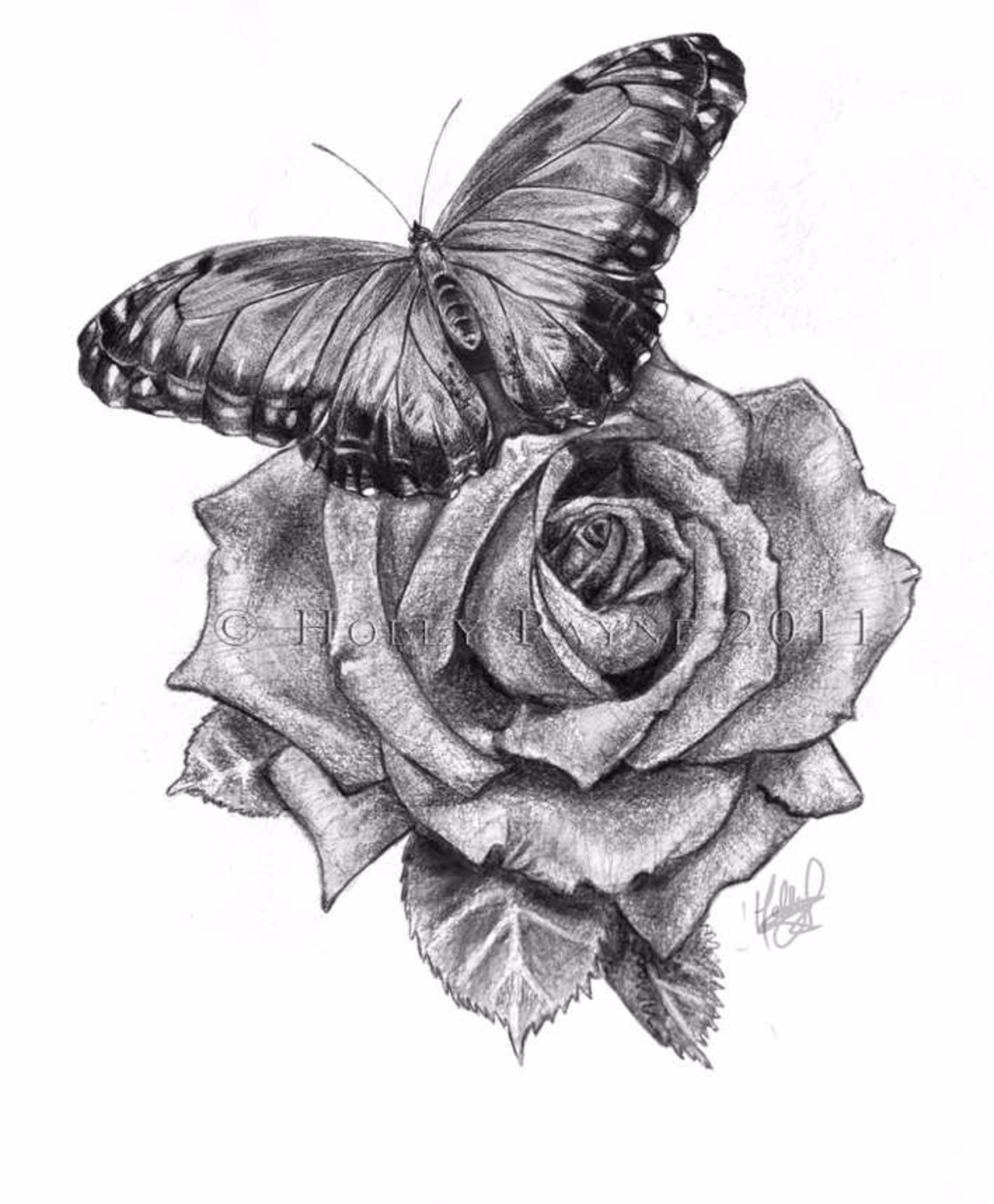 Бабочка рисунок. Бабочка карандашом. Бабочка эскиз. Тату эскизы. Красивые бабочки карандашом