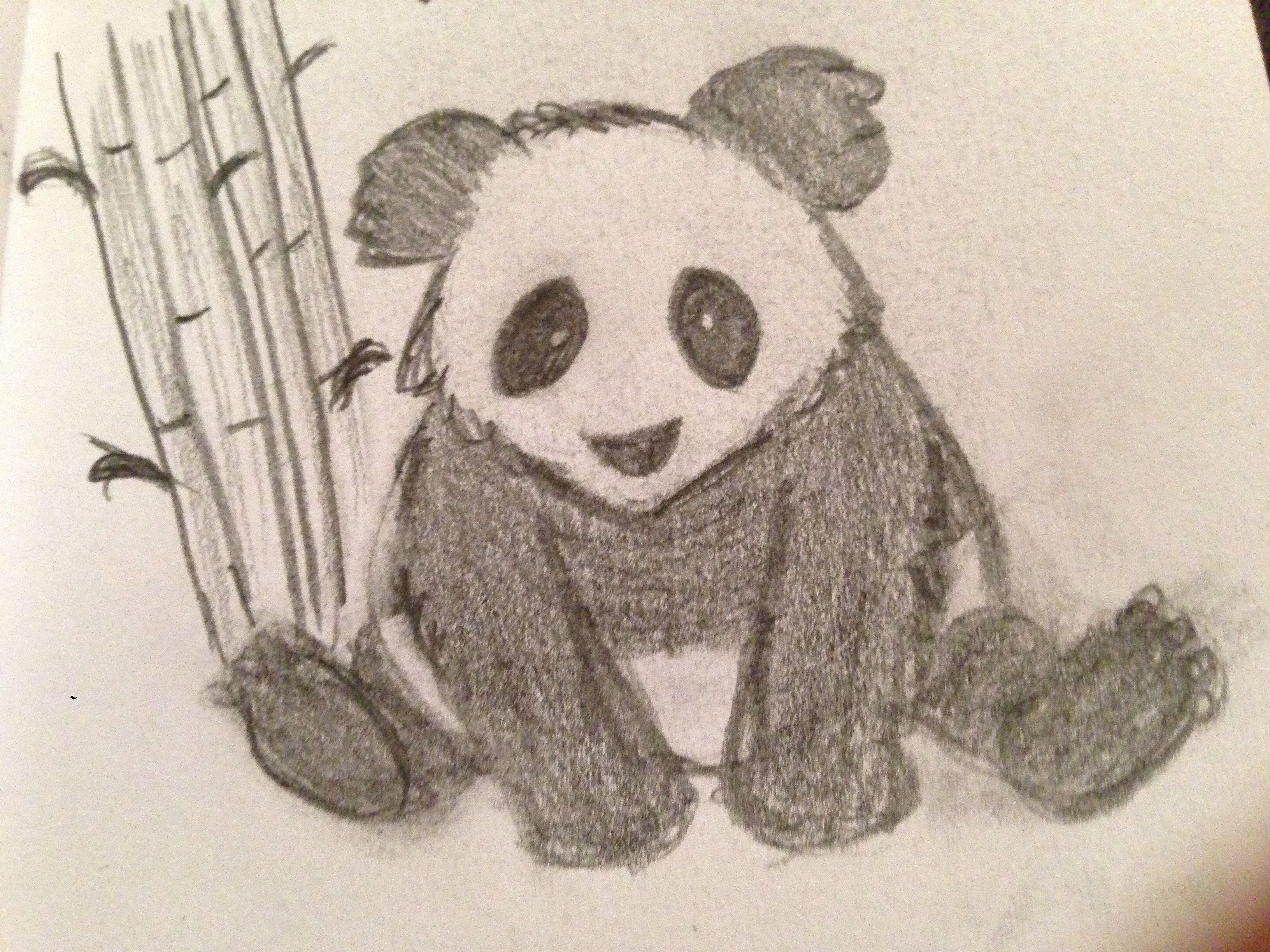 Нарисовать большую панду